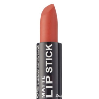 Stargazer Matte Lipstick, Shade 206