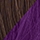 Chocolate Copper & Dark Purple
