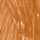 IKON Apricot