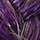 Purple Braid